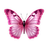 Fototapeta Motyle - Pink beautiful butterfly on a transparent background. Generative AI