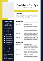 Poster - professional curriculum vitae template vector