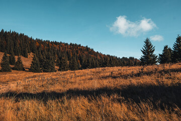 Wall Mural - the mountain autumn landscape with colorful forest, Mala Fatra mountains in Slovakia