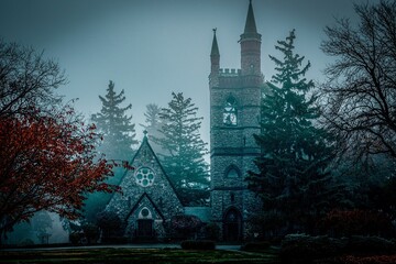 Poster - Scenic view of an old gothic graveyard church in a mysterious forest on a gloomy day