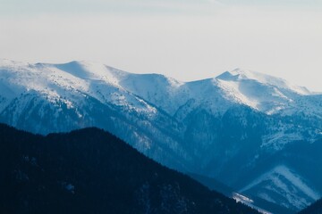 Poster - Chilling view of a mountains landscape and forest during winter