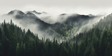 AI Generated. AI Generative. Photo Realistic Illustration Of Mountains Forest Fog Morning Mystic. Graphic Art