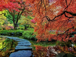 Wall Mural - Pond with stone steps in a colorful autumn park