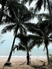 Canvas Print - Vertical shot of Palm cove beach, in North Queensland, Australia