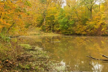 Wall Mural - Beautiful Lake Roland Park in Baltimore, Maryland on a cold autumn day, the United States