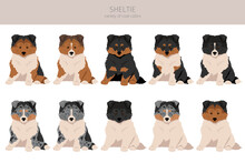 Sheltie Puppy, Shetland Sheepdog Clipart. Different Poses, Coat Colors Set