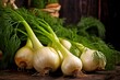 fresh fennel bulbs with leaves spread out on a rustic background