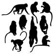 Collection silhouettes monkey. Vector illustration. Isolated primates on white background.