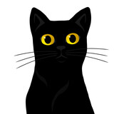 Fototapeta Storczyk - Czarny kot