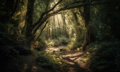 Wall Mural - rays of light in forest HD 8K wallpaper Stock Photography Photo Image
