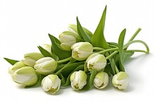 Vanilla Orchids White Flowers Bunch Arrangement - AI Generative