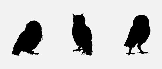 Wall Mural - isolated black silhouette of a owl , vector collection