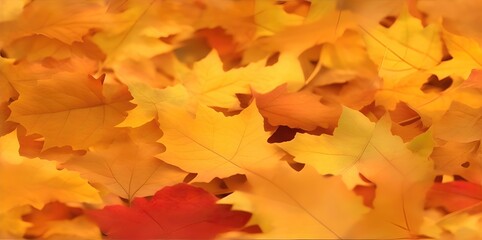 Wall Mural - Autumn background from colorful leaves close-up.