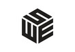 WES Initial Monogram Letter swe Logo Design Vector Template w e s Cube Polygon Letter Logo Design