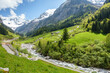 Alpenstraße durch eine grüne Landschaft in den tiroler Bergen