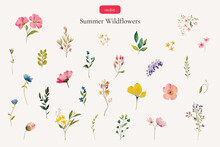 Watercolor Summer Wildflowers. Vector Individual Flowers. Pink, Yellow, Blue Meadow Flowers. Botanical Art