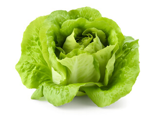 Wall Mural - Fresh lettuce isolated on white and transparent background, png