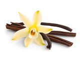 Vanilla pods and orchid flower isolated on white and transparent background, png