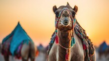  A Close Up Of A Camel With A Sky In The Backgrouund And A Tent In The Background With A Sky In The Backgrouund.  Generative Ai