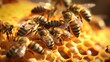  a bunch of bees that are sitting on a honeycomb together in a beehive with honey combs in the foreground and honey combs in the foreground.  generative ai