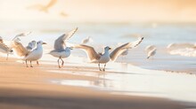  A Group Of Seagulls Standing On A Beach Next To The Ocean With A Flock Of Birds In The Background On A Sunny Day.  Generative Ai