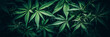background of cannabis marijuana leaves on medical weed hemp bushes. Generative AI
