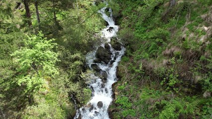 Canvas Print - cascata acqua bosco 