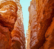 View of the rock formation in Bryce Canyon National Park