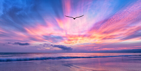 Wall Mural - Sunset Bird Inspirational Surreal Nature Hope Ocean Abstract Sunrise Silhouette