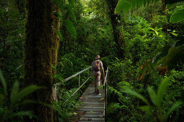 Wall Mural - Backpacker walking  in the rainforest. AI generative 