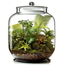 Glass Florarium In A Glass Jar Isolated On White Background, Generative AI