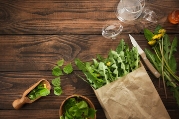 Wall Mural - Picked fresh dandelion leaves. Raw Green organic dandelion greens for cooking salad or brewing tea. Bowl of birch leaves for making herbal tea. Healthy eating. Herbal medicine. Top view, flat lay.