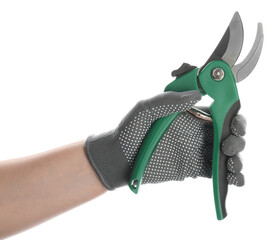 Wall Mural - Worker holding secateurs with green handles on white background, closeup. Gardening tool