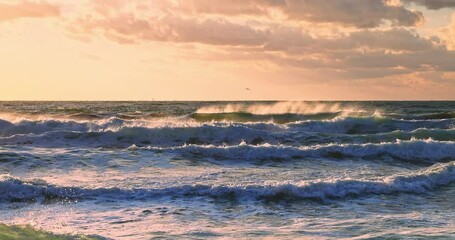 Canvas Print - Scenic morning over sea water. Huge waves splashing and rolling in the ocean toward shore and beach