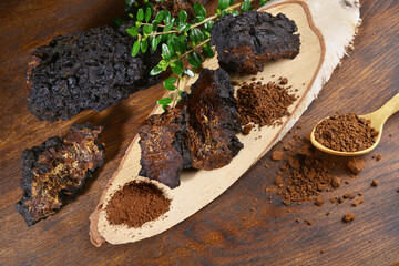 Wall Mural - Chaga Mushroom on a wooden Table - Healthy Nutrition