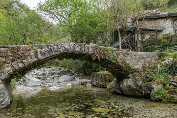 View of an old medieval bridge over the river in the woods