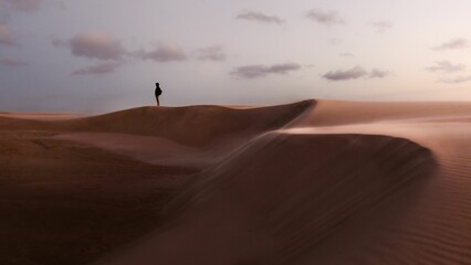 Wall Mural - beautiful scene of a person on rabjerg mile sand dunes on the horizon in skagen, denmark