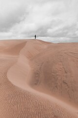 Sticker - Beautiful scene of a maleon Rabjerg Mile sand dunes on the horizon in Skagen, Denmark, vertical shot