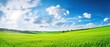 Panoramic natural landscape with green grass field meadow and blue sky with clouds, bright sun and horizon line. Panorama summer spring grassland in sunny day