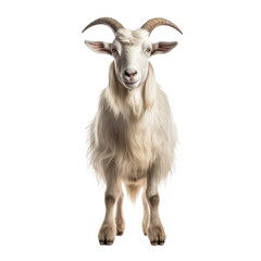 Wall Mural - goat on a transparant background, PNG, Generative Ai