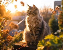 Fluffy Grey Tabby Cat In The Garden Summer -  Generative AI