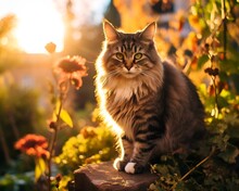Fluffy Tabby Cat Sitting In Nature In The City In Summer - Generative AI