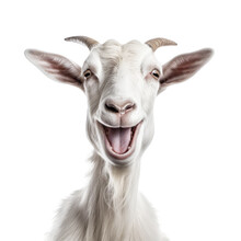 Goat With Smile Face On A Transparant Background, PNG, Generative Ai