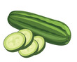 cucumber vector art illustration vegetable design