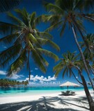 Fototapeta Krajobraz - Exotic Tropical Beach Paradise with Palm Trees, Turquoise Water, and a Relaxing Hammock