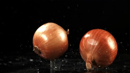 Sticker - Onion falls on the table. Filmed is slow motion 1000 fps. High quality FullHD footage