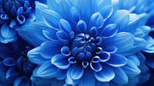 Close-up Of A Blue Flower