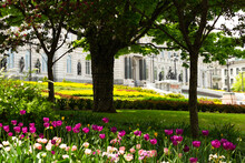 Low Angle Detail Of The Facade Of The 1886 Second Empire Style Parliament Building Seen During A Spring Afternoon, With Tulip Flowerbed In The Foreground, Quebec City, Quebec, Canada