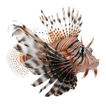 Lionfish_Fish Png File. Transparent Background With Generative Ai