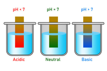 Wall Mural - PH paper indicator with acidic, neutral and basic solutions